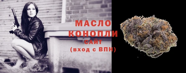 mdpv Инсар