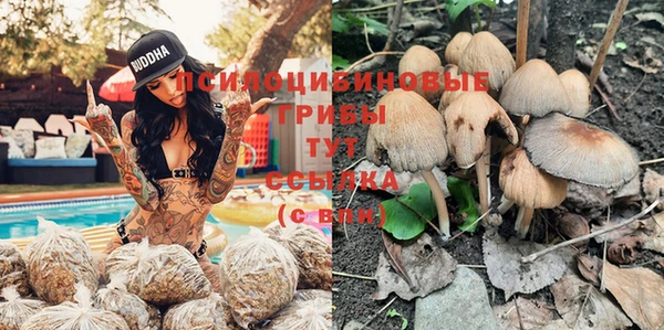 МДПВ Иннополис