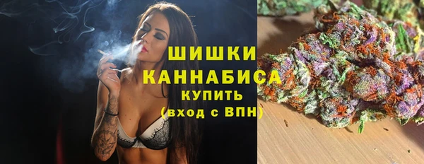 mdpv Инсар