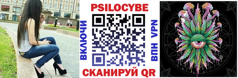 магазин  наркотиков  Калач  Псилоцибиновые грибы Psilocybe 
