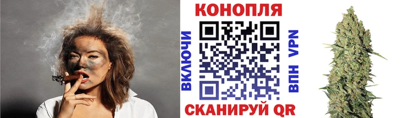 что такое   Калач  Каннабис гибрид 